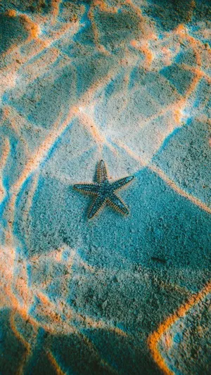 Starfish And Prism Effect Wallpaper