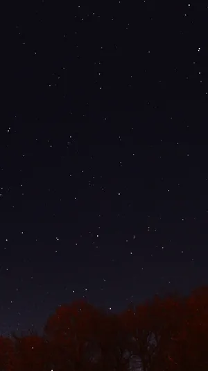 Stargazing In Nature Wallpaper
