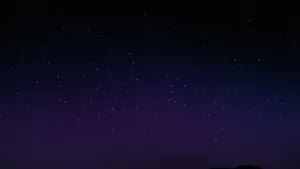 Starry Night Sky 2560 X 1440 Wallpaper