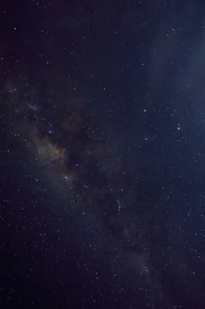 Starry Sky 1330 X 2000 Wallpaper