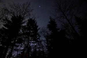 Starry Sky At Night Wallpaper