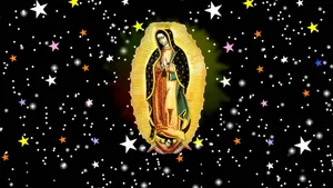 Starry Virgen De Guadalupe Wallpaper