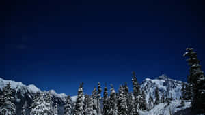 Starry Winter Night Mountain Scape Wallpaper