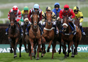 Starting Line At Horse Racing Field Wallpaper