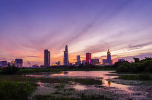 Startling Ecosystem Of Vietnam Wetlands Wallpaper