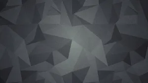 Static Gray Polygons Wallpaper
