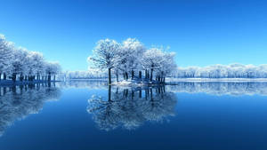 Static Snowy Trees Wallpaper