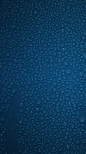 Stay Connected With Large Phone Wallpaper