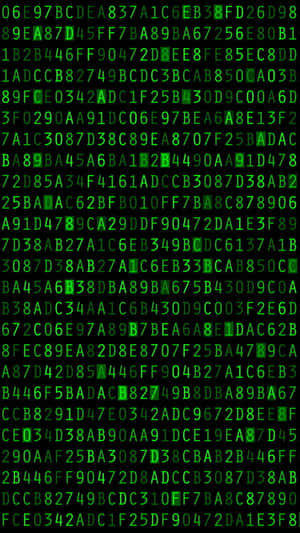 Stay Connected With The Matrix Iphone Wallpaper