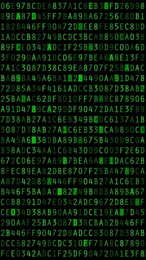 Stay Connected With The Matrix Iphone Wallpaper