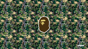 Stay Fresh In Bape Wallpaper