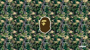Stay Fresh In Bape Wallpaper