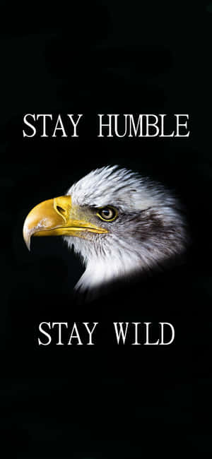 Stay Humble And Wild Wallpaper