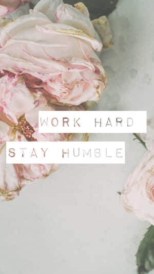 Stay Humble Quote With Roses Wallpaper