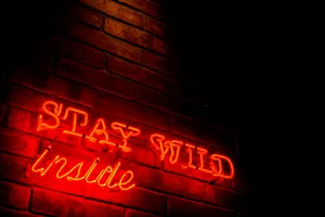 Stay Wild Inside Neon Sign Wallpaper