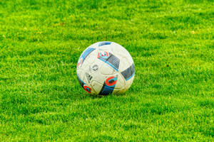 Step Onto The Green Football Field Wallpaper