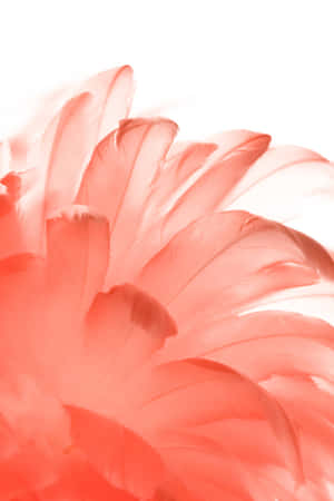 Stepping Into Twilight In A Red And White World Wallpaper