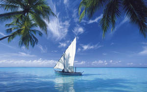 Still Boat On Blue Ocean Wallpaper