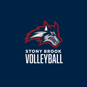 Stony Brook University Volleyball Poster Wallpaper