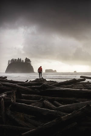 Storm At Olympic Peninsula Beach Wallpaper