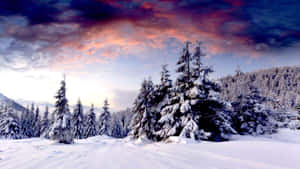 Storm Clouds On Winter Scenery Desktop Wallpaper