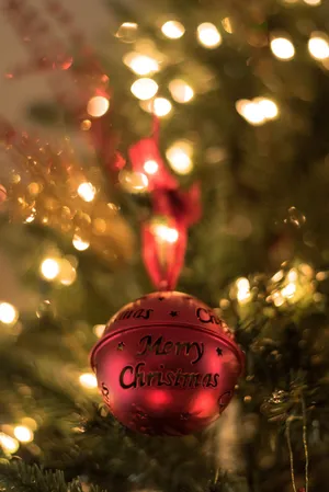 Strands Of Colorful Lights Illuminating A Snowy Christmas Scene Wallpaper