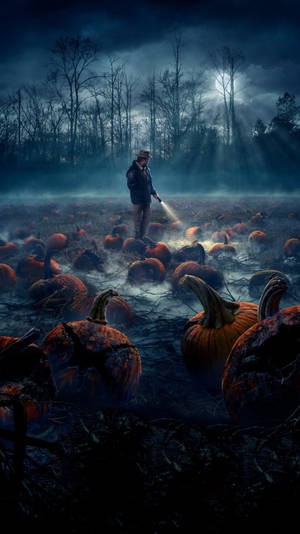 Stranger Things Merrill's Pumpkin Patch Wallpaper