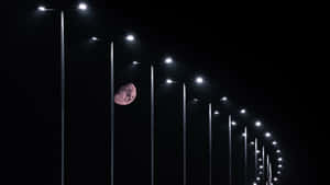 Street Light At Night Wallpaper