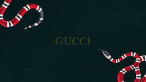 Striking Gucci Snake Wallpaper Wallpaper