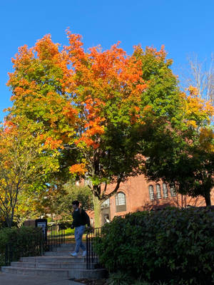 Student At Stairs Brown University Wallpaper