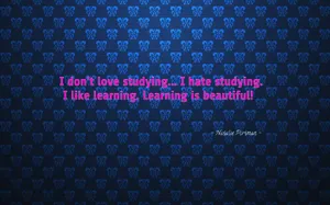 Studying And Learning Wallpaper