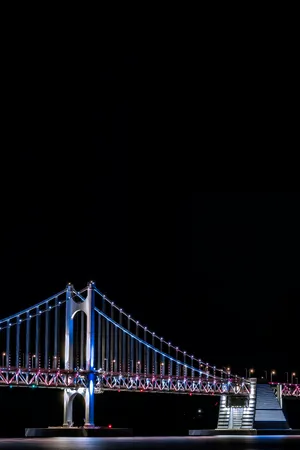 Stunning Cable Bridge Illumination In Busan Wallpaper