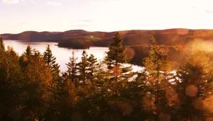 Stunning Forest Lake Wallpaper