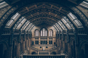Stunning Natural History Museum Architecture Wallpaper