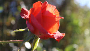 Stunning Nighttime Skyline Reflecting On The Calm Water Wallpaper