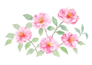 Stunning View Of A Blooming Camellia Sasanqua Wallpaper