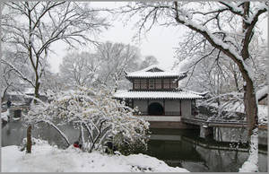 Stunning View Of Humble Administrator's Garden In Suzhou. Wallpaper