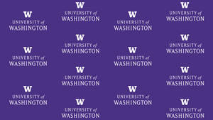 Stunning View Of The University Of Washington Campus Wallpaper