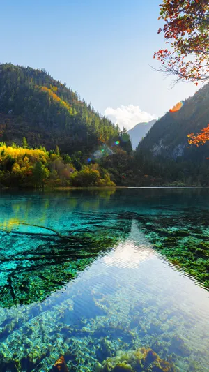 Stunning Visuals On Samsung Ultra 4k Wallpaper