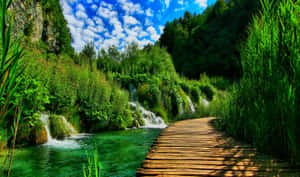 Stunning Wooden Walkway In Croatia's Nature Park Wallpaper