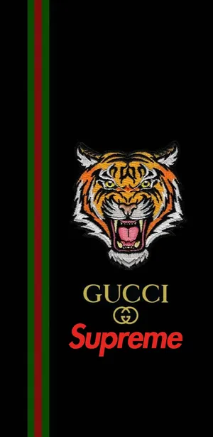 Style With Supreme Gucci Wallpaper