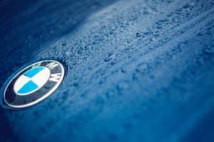 Stylish Bmw Car Logo In Blue Wallpaper