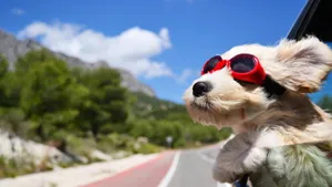 Stylish Sunglasses Reflecting Vibrant City Life Wallpaper