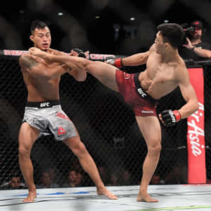 Su Mudaerji Mid-kick Wallpaper