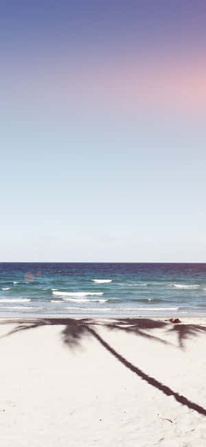 Summer Beach Iphone Palm Tree Shadow Wallpaper
