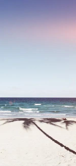 Summer Beach Iphone Palm Tree Shadow Wallpaper