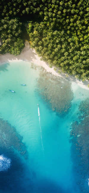 Summer Beach Iphone Top View Island Wallpaper