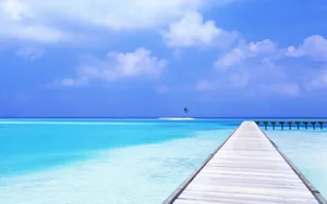 Summer Ocean Paradise Wallpaper