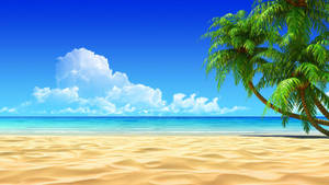 Summer Ocean View Wallpaper