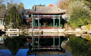 Summer Palace Garden Pond Wallpaper